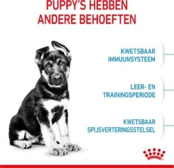 Royal Canin Maxi Puppy 4 KG -Honden Benodigdheden Verkoop 1200x1158 1