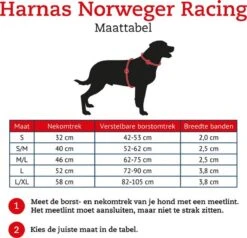 Hunter Harnas Norweger Racing - Hondentuig - Bruin/Cognac - M - 52-62 X 2.5 Cm -Honden Benodigdheden Verkoop 1200x1158 8