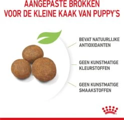 Royal Canin Maxi Puppy 4 KG -Honden Benodigdheden Verkoop 1200x1159 10