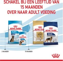 Royal Canin Maxi Puppy 4 KG -Honden Benodigdheden Verkoop 1200x1159 15