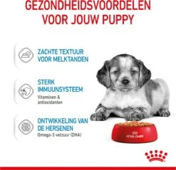 Royal Canin Shn Medium Puppy Pouch - Hondenvoer - 10 X 140 G -Honden Benodigdheden Verkoop 1200x1159 17