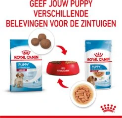 Royal Canin Shn Medium Puppy Pouch - Hondenvoer - 10 X 140 G -Honden Benodigdheden Verkoop 1200x1159 18