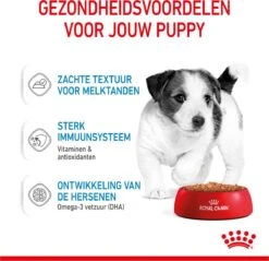 Royal Canin Shn Mini Puppy Pouch - Hondennatvoer - 12 X 85 G 25 Royal Canin Shn Mini Puppy Pouch - Hondennatvoer - 12 X 85 G -Honden Benodigdheden Verkoop 1200x1159