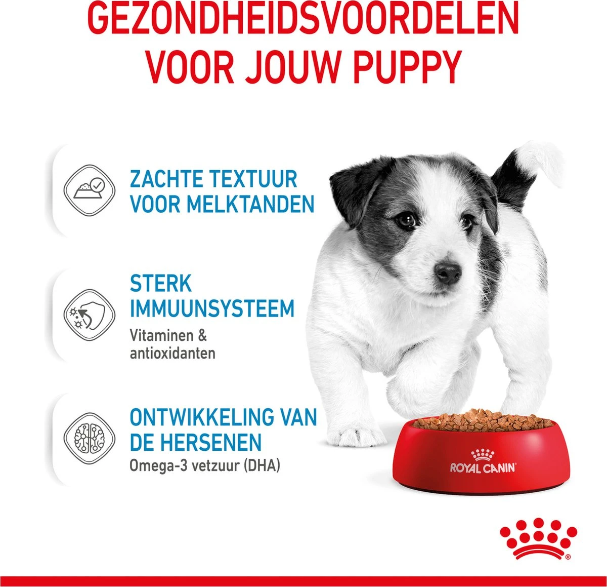 Royal Canin Shn Mini Puppy Pouch - Hondennatvoer - 12 X 85 G 7 Royal Canin Shn Mini Puppy Pouch - Hondennatvoer - 12 X 85 G - Afbeelding 5