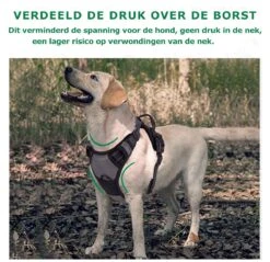 Mister Mill Hondentuigje 2x Klikgesp Maat M Grijs - Anti-Trek Tuig Hondenharnas - Y Tuig Hond Reflecterend -Honden Benodigdheden Verkoop 1200x1160 13