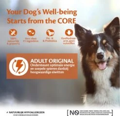Wellness Core Grain Free Dog Original Kalkoen & Kip - Hondenvoer - 10 Kg -Honden Benodigdheden Verkoop 1200x1160 2