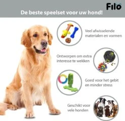 Filo Honden Speelgoed Set 14 Stuks - Hondenspeeltjes Knuffel - Hondenbal - Flostouw - Bot - Frisbee - Hondentouw - Hondenspeelgoed Intelligentie - Kauwspeelgoed Hond En Puppy - Bijtspeelgoed Hondenknuffel - Hondenspeeltje Met Piep 18 Filo Honden Speelgoed Set 14 Stuks - Hondenspeeltjes Knuffel - Hondenbal - Flostouw - Bot - Frisbee - Hondentouw - Hondenspeelgoed Intelligentie - Kauwspeelgoed Hond En Puppy - Bijtspeelgoed Hondenknuffel - Hondenspeeltje Met Piep -Honden Benodigdheden Verkoop 1200x1160 20
