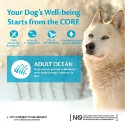 Wellness Core Grain Free Dog Ocean Zalm&Tonijn - Hondenvoer - 10 Kg -Honden Benodigdheden Verkoop 1200x1160