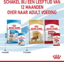 Royal Canin Shn Medium Puppy Pouch - Hondenvoer - 10 X 140 G -Honden Benodigdheden Verkoop 1200x1160 4