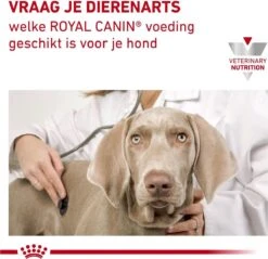 Royal Canin Hond Urinary SO 13 Kg - 21 Royal Canin Hond Urinary SO 13 Kg - -Honden Benodigdheden Verkoop 1200x1161 1