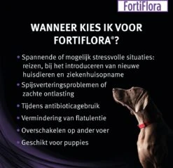 Pro Plan Veterinary Diets - FortiFlora Canine - Probiotic - 30 X 1 Gram -Honden Benodigdheden Verkoop 1200x1161 4