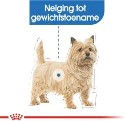 Royal Canin Mini Light 8 KG -Honden Benodigdheden Verkoop 1200x1161 7