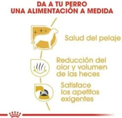 Royal Canin Maltese Adult 1.5 KG -Honden Benodigdheden Verkoop 1200x1161 8