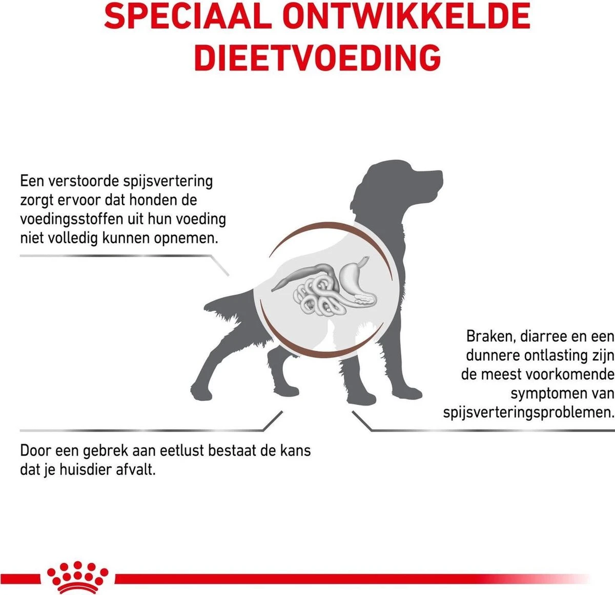 Royal Canin Gastro Intestinal - Hondenvoer - 7,5 Kg 6 Royal Canin Gastro Intestinal - Hondenvoer - 7,5 Kg - Afbeelding 4