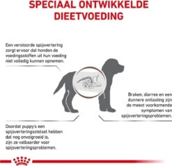 Royal Canin Gastro Intestinal Junior - Tot 12 Maanden - Hondenvoer - 10 Kg -Honden Benodigdheden Verkoop 1200x1162
