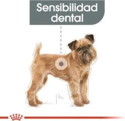 Royal Canin Ccn Dental Care Mini - Hondenvoer - 3 Kg -Honden Benodigdheden Verkoop 1200x1164 1