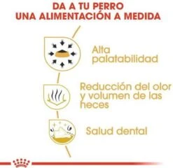 Royal Canin Chihuahua 3 KG -Honden Benodigdheden Verkoop 1200x1164