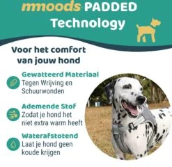 Mmoods Hondentuigje Grijs - Anti-Trek Tuig Voor Puppy's - Hondenharnas Voor Kleine Honden - Reflecterende Halsband Hond - Hondenhalsband Maat S -Honden Benodigdheden Verkoop 1200x1166 15