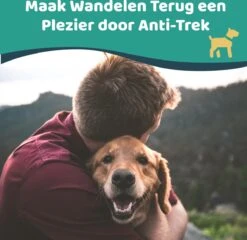 Mmoods Hondentuigje Grijs - Anti-Trek Tuig - Hondenharnas Voor Grote Honden- Reflecterende Halsband Hond - Hondenhalsband Maat L 17 Mmoods Hondentuigje Grijs - Anti-Trek Tuig - Hondenharnas Voor Grote Honden- Reflecterende Halsband Hond - Hondenhalsband Maat L -Honden Benodigdheden Verkoop 1200x1166 18
