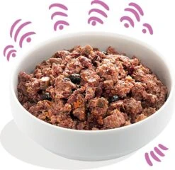 Edgard & Cooper Wild & Eend Blik - Voor Volwassen Honden - Hondenvoer - 12 X 400g 10 Edgard & Cooper Wild & Eend Blik - Voor Volwassen Honden - Hondenvoer - 12 X 400g -Honden Benodigdheden Verkoop 1200x1166 3