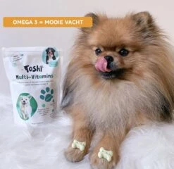 Toshi Multi Vitaminen Met Omega-3 - 100% Natuurlijke Hondensnack Voor Kleine En Grote Honden - Hondenkoekjes Voor Een Gezonde Levensstijl -Honden Benodigdheden Verkoop 1200x1167 2