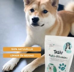 Toshi Multi Vitaminen Met Omega-3 - 100% Natuurlijke Hondensnack Voor Kleine En Grote Honden - Hondenkoekjes Voor Een Gezonde Levensstijl -Honden Benodigdheden Verkoop 1200x1167 3