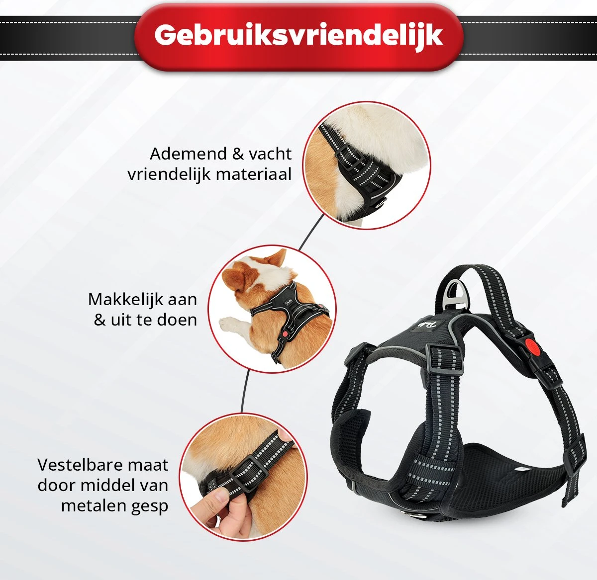 Purrr Fect Hondentuigje - Anti-Trek Tuig - Hondenharnas - Y Tuig Hond - Waterproof - Reflecterend - Verstelbaar - Maat M 7 Purrr Fect Hondentuigje - Anti-Trek Tuig - Hondenharnas - Y Tuig Hond - Waterproof - Reflecterend - Verstelbaar - Maat M - Afbeelding 5