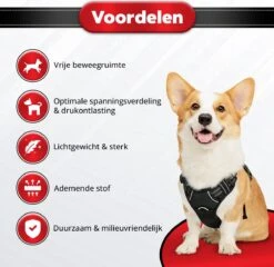 Purrr Fect Hondentuigje - Anti-Trek Tuig - Hondenharnas - Y Tuig Hond - Waterproof - Reflecterend - Verstelbaar - Maat M 16 Purrr Fect Hondentuigje - Anti-Trek Tuig - Hondenharnas - Y Tuig Hond - Waterproof - Reflecterend - Verstelbaar - Maat M -Honden Benodigdheden Verkoop 1200x1167 34