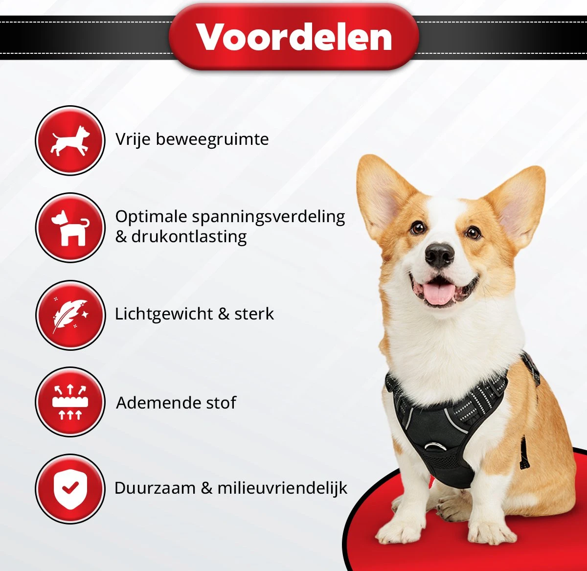 Purrr Fect Hondentuigje - Anti-Trek Tuig - Hondenharnas - Y Tuig Hond - Waterproof - Reflecterend - Verstelbaar - Maat M 8 Purrr Fect Hondentuigje - Anti-Trek Tuig - Hondenharnas - Y Tuig Hond - Waterproof - Reflecterend - Verstelbaar - Maat M - Afbeelding 6