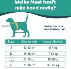 Mmoods Hondentuigje Grijs - Anti-Trek Tuig - Hondenharnas Voor Grote Honden- Reflecterende Halsband Hond - Hondenhalsband Maat L 14 Mmoods Hondentuigje Grijs - Anti-Trek Tuig - Hondenharnas Voor Grote Honden- Reflecterende Halsband Hond - Hondenhalsband Maat L -Honden Benodigdheden Verkoop 1200x1167 36