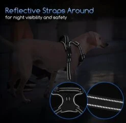 Nobleza 42ZHW - Hondenharnas - Hondentuigje - Anti Trek - S - Zwart 15 Nobleza 42ZHW - Hondenharnas - Hondentuigje - Anti Trek - S - Zwart -Honden Benodigdheden Verkoop 1200x1167 38