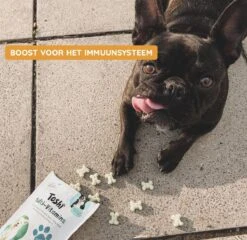 Toshi Multi Vitaminen Met Omega-3 - 100% Natuurlijke Hondensnack Voor Kleine En Grote Honden - Hondenkoekjes Voor Een Gezonde Levensstijl -Honden Benodigdheden Verkoop 1200x1167 4