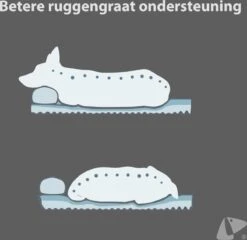 PETKIT® Deep Sleep Bed - Hondenmand - Kattenmand - Memory Foam - Orthopedisch - Maat M -Honden Benodigdheden Verkoop 1200x1168 15