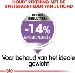 Royal Canin Ccn Sterilised Mini - Hondenvoer - 3 Kg -Honden Benodigdheden Verkoop 1200x1168