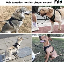 Filo Anti Trek Hondentuig S Met Hondenriem - Y Tuig Hond Verstelbaar - Hondentuigje Kleine Hond + Hondenlijn - Easy Walk Hondenharnas - Hondentuigjes - Leiband - Honden Tuigje - Puppy - Tuig - Hond -Honden Benodigdheden Verkoop 1200x1170 16