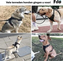 Filo Anti Trek Hondentuig L Met Hondenriem - Y Tuig Hond - Easy Walk Hondenharnas Large + Hondenlijn - Hondentuigje Verstelbaar - Leiband - Honden Tuigje - Riem 15 Filo Anti Trek Hondentuig L Met Hondenriem - Y Tuig Hond - Easy Walk Hondenharnas Large + Hondenlijn - Hondentuigje Verstelbaar - Leiband - Honden Tuigje - Riem -Honden Benodigdheden Verkoop 1200x1170 18