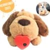 Knuffel Met Hartslag 2023 Voor Puppy's - Zacht Speelgoed - Hondenknuffel Met Hartslag - Wonderknuffel Snuggle Puppy - Knuffel Hond 1 Knuffel Met Hartslag 2023 Voor Puppy's - Zacht Speelgoed - Hondenknuffel Met Hartslag - Wonderknuffel Snuggle Puppy - Knuffel Hond -Honden Benodigdheden Verkoop 1200x1170 20
