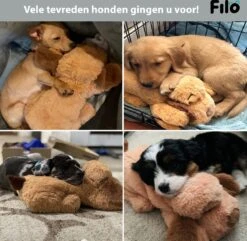 Filo Hondenknuffel Met Hartslag En Warmtebron - Hartslagknuffel Hondenspeelgoed Snuggle Puppy - Knuffel Met Hartslag - Heartbeat Knuffel Hond -Honden Benodigdheden Verkoop 1200x1170 23