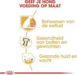 Royal Canin Labrador Retriever Sterilised 12 KG 22 Royal Canin Labrador Retriever Sterilised 12 KG -Honden Benodigdheden Verkoop 1200x1170