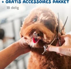 Pawwy Dieren Tondeuse Set Draadloos Voor Honden En Katten – Voor Dikke Vacht - Hondentondeuse – Hondentrimmer - Scheerapparaat - Goud 22 Pawwy Dieren Tondeuse Set Draadloos Voor Honden En Katten – Voor Dikke Vacht - Hondentondeuse – Hondentrimmer - Scheerapparaat - Goud -Honden Benodigdheden Verkoop 1200x1170 4