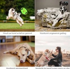 Filo Honden Speelgoed Set 14 Stuks - Hondenspeeltjes Knuffel - Hondenbal - Flostouw - Bot - Frisbee - Hondentouw - Hondenspeelgoed Intelligentie - Kauwspeelgoed Hond En Puppy - Bijtspeelgoed Hondenknuffel - Hondenspeeltje Met Piep 17 Filo Honden Speelgoed Set 14 Stuks - Hondenspeeltjes Knuffel - Hondenbal - Flostouw - Bot - Frisbee - Hondentouw - Hondenspeelgoed Intelligentie - Kauwspeelgoed Hond En Puppy - Bijtspeelgoed Hondenknuffel - Hondenspeeltje Met Piep -Honden Benodigdheden Verkoop 1200x1171 12