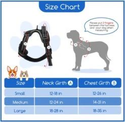 Nobleza 42ZHX - Hondenharnas - Hondentuigje - Anti Trek - M - Zwart -Honden Benodigdheden Verkoop 1200x1172 13