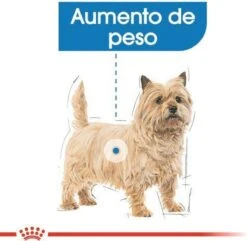 Royal Canin Mini Light 8 KG -Honden Benodigdheden Verkoop 1200x1172