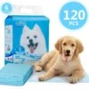 Nobleza 48LXE - Puppy Training Pads - 60 X 90 Cm - Zindelijkheidstraining - 120 Stuks 2 Nobleza 48LXE - Puppy Training Pads - 60 X 90 Cm - Zindelijkheidstraining - 120 Stuks -Honden Benodigdheden Verkoop 1200x1173 7