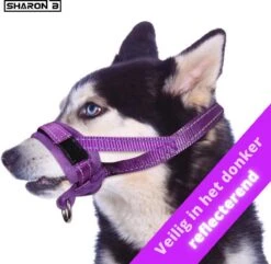 Sharon B Muilkorf Paars Maat M - Fleece - Wasbaar - Reflecterend -Honden Benodigdheden Verkoop 1200x1173 8