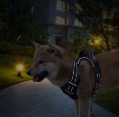 Nobleza 42ZHX - Hondenharnas - Hondentuigje - Anti Trek - M - Zwart -Honden Benodigdheden Verkoop 1200x1174 20