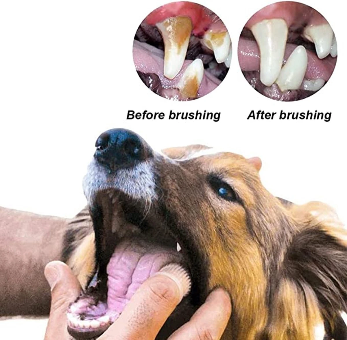 Doodadeals® 4 Stuks Siliconen Honden Tandenborstel - Tanden Borstel Hond - Silicone Dog Tootbrush - Multikleur 6 Doodadeals® 4 Stuks Siliconen Honden Tandenborstel - Tanden Borstel Hond - Silicone Dog Tootbrush - Multikleur - Afbeelding 5