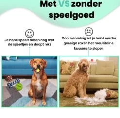 Petloverz – Honden Speelgoed Set – Honden Speeltjes – Knuffel - Speelgoed – Intelligentie – 15 Speeltjes 14 Petloverz – Honden Speelgoed Set – Honden Speeltjes – Knuffel - Speelgoed – Intelligentie – 15 Speeltjes -Honden Benodigdheden Verkoop 1200x1177 11
