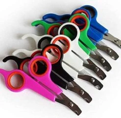 Doodadeals® | Nagelschaar Kat | Nagelschaar Hond | Nagelschaar Konijn | Nagelschaar Cavia | Multi Color | 1 Stuk -Honden Benodigdheden Verkoop 1200x1178 4