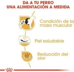 Royal Canin French Bulldog Adult 9 KG 19 Royal Canin French Bulldog Adult 9 KG -Honden Benodigdheden Verkoop 1200x1180 2